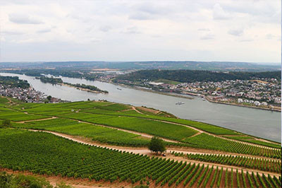 Rüdesheim – „Tage des Federweißen“