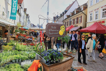 Bauernmarkt für Genießer in der Domstadt Speyer