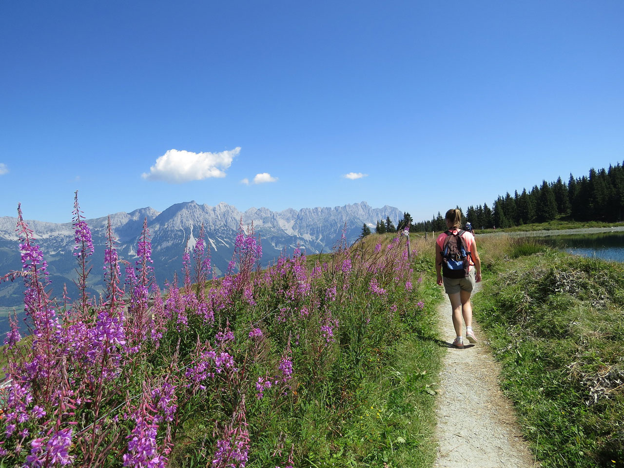 Wandern Davos