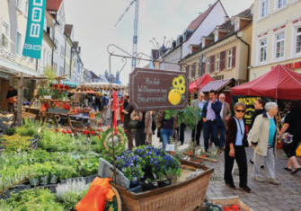   Bauernmarkt für Genießer in der Domstadt Speyer